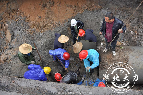 �S��������(zh��n)ʿͽ�֠I(y��ng)�ȱ����ˆT ��ٝ�������硱